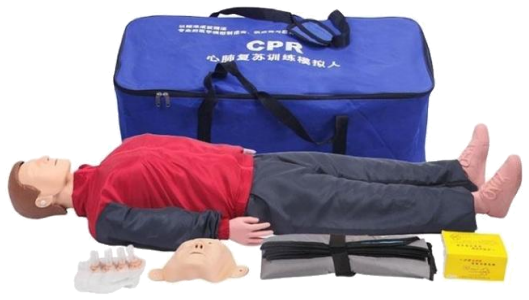 Basic CPR Manikin CPR11