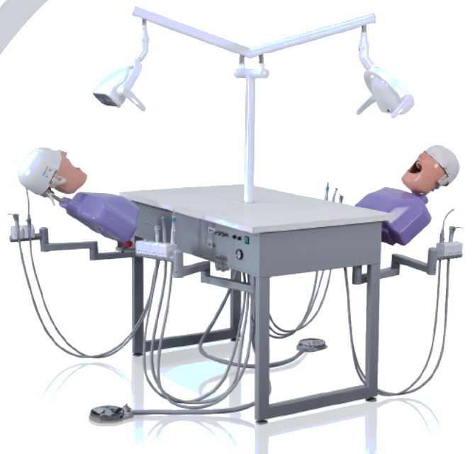 Dental Simulation